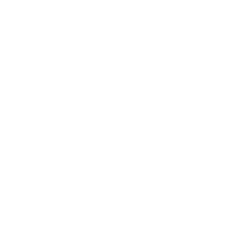 stat icon
