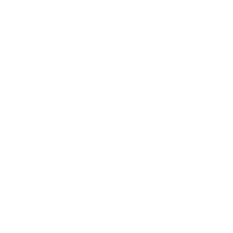 stat icon