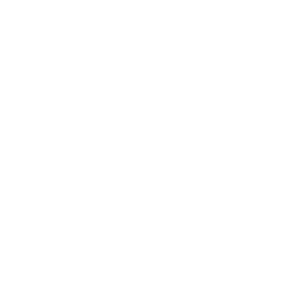stat icon
