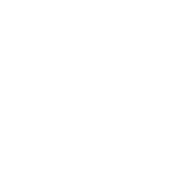 stat icon